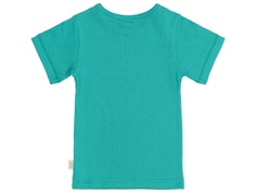 Turkis kortærmet T-shirt i turkis farve fra Petit Piao PP105 turquiose bagfra